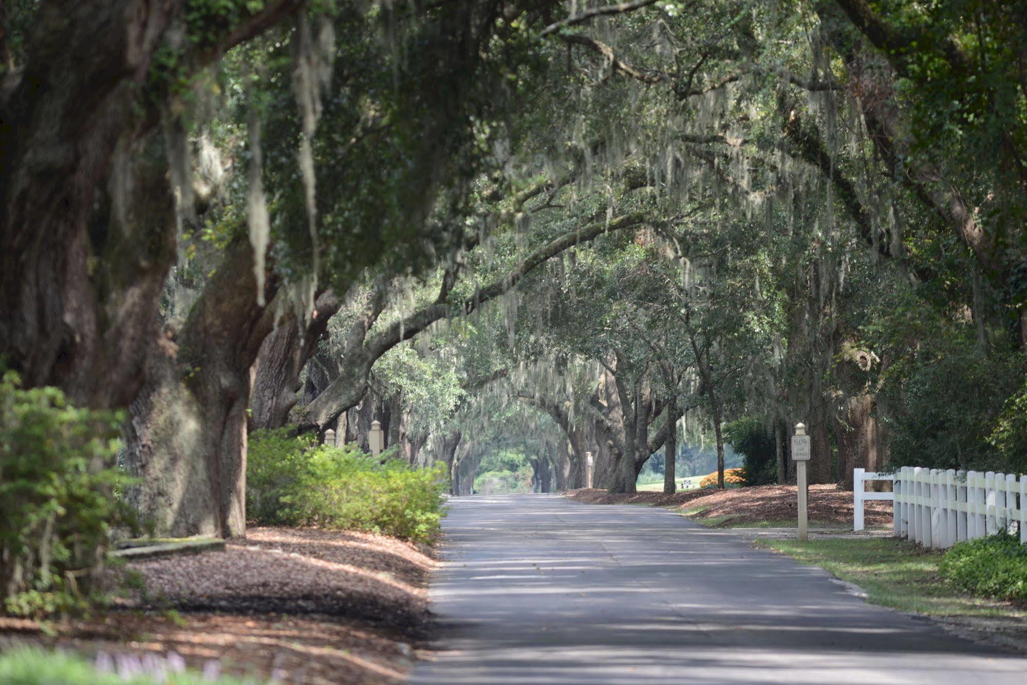 True Blue Golf Resort Pawleys Island Exterior photo